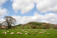 Cil y Cwm